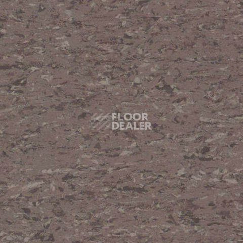 Линолеум Gerflor Mipolam Accord 0344 OSPEDAL фото 1 | FLOORDEALER